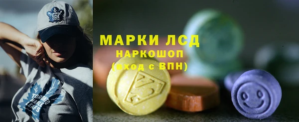 сатива Беломорск