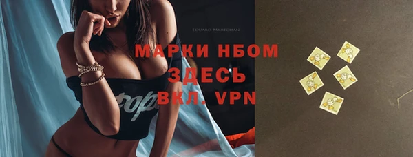 сатива Беломорск