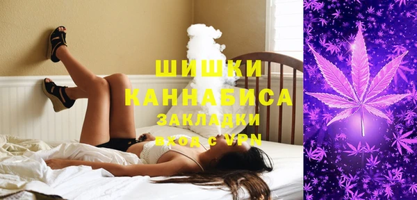 винт Белокуриха