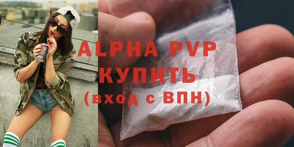 сатива Беломорск