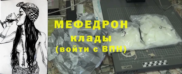 сатива Беломорск