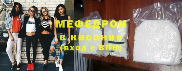 сатива Беломорск