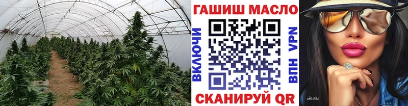 наркота  Шиханы  Дистиллят ТГК гашишное масло 