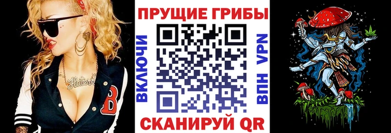 Галлюциногенные грибы Psilocybe  Шиханы 